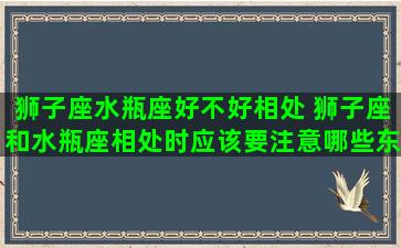 狮子座水瓶座好不好相处 狮子座和水瓶座相处时应该要注意哪些东西